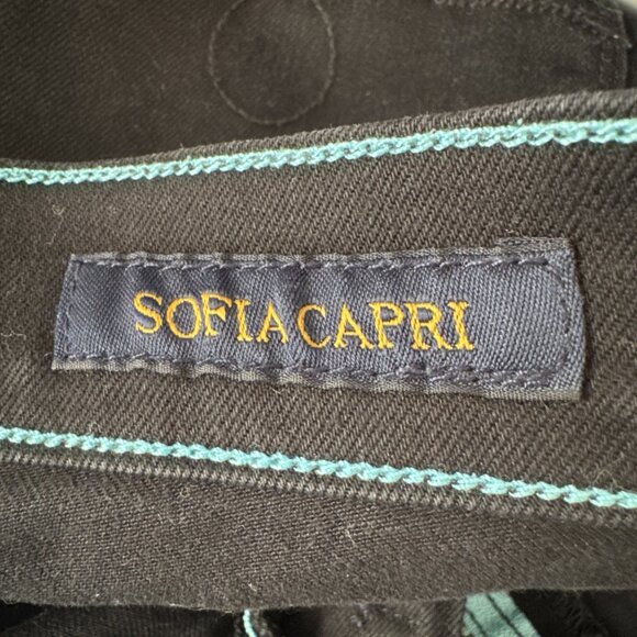 New Lucky Brand Sofia Capri Jean Sz 12/31 Black Curvy teal accent Lucky You zip - Picture 10 of 13